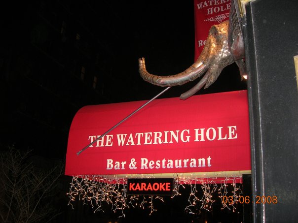 Watering Hole, The