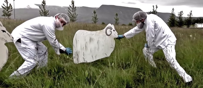 File Under Bad Ideas: Beer Made with Sheep Poop