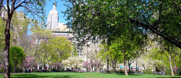 Where to Drink After a Day at Madison Square Park