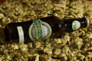 Craft Beer New York City | Scottish Brewery Releases 'Performance Enhancing' Ale | Drink NYC