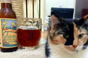 Craft Beer New York City | Instagram Account Pairs Cats With Beer, Makes Internet's Dreams Come True | Drink NYC